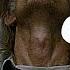 My Ordinary Life X After Dark True Detective 4k