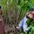 Ular Pohon Funny Komedi Ngakak Azza Fyp