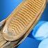 How Do Remora Stick To Sharks