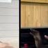 Man DEMOLISHES Entitled Wife After She Posted This
