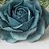 Синие розы Blue Roses