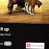 Run It Up Songs Hunuman Kind Shortsfeed Edit
