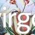VIRGO THEY LOVE YOU YOU LOVE THEM IT S DECISION TIME LOVE TAROT