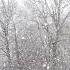 Снег идет снег Let It Snow Let It Snow Let It Snow