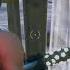 Lovely Mp3