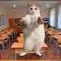 Тот самый одноклассник мем Cat кот мемас прикол юмор Shorts Youtube