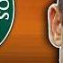 Alcaraz Easy Draw Djokovic Sinner Clash At French Open 2025 Tennis News