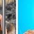 Oh No Barbie Is In Jail Total Beauty Transformation From Ugly To Princess By 123 GO