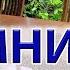 Зимний сад оранжерея у дома наш опыт