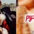 КешYOU Рухты ару Speed Up