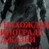 ГДЕ МОЖНО НАЙТИ ВИНОГРАД ДЖАЗБИ В СКАЙРИМЕ