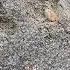 Best For Backfill Soil Sand Or Dust Civilengineeringdeepakkumar Construction Home