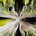 Along Came Polly Konstantin Sibold ZAC CARMEE Remix