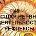 П49 ВЫСШАЯ НЕРВНАЯ ДЕЯТЕЛЬНОСТЬ РЕФЛЕКСЫ БИОЛОГИЯ 8 КЛАСС АУДИОУЧЕБНИК СЛУШАТЬ АУДИО ОНЛАЙН