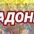 РАДОНИЦА ПОЭТИЧЕСКАЯ СТРАНИЧКА