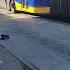 Q113 Reels Short Fypシ Viral Fypyoutube Fyp Mtabus Everyone