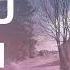 אבא אברהם פריד וארי היל Abba Avraham Fried Ari Hill מאיר חג בי קאבר ווקאלי