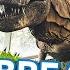 JURASSIC WORLD THE EXPERIENCE Singapore Day Night Walkthrough Tour