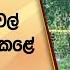 ව ඩ තහනම ව ප ල ස න ලධ ර ය ග න ව ස න මත ව ප ප රණ ද රව ය ව ල ය යකද ව න ශ කළ ම හ මය