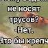 Ведьмы приколы юмор шуточное смех анекдот смехпродлеваетжизнь смешновидео смешнойшортс