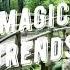 Way Way Back Acoustic Version Lvly Megan Wofford