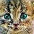 Артём с днём рождения котики коты кошки