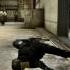 About Everyday Life CS GO 18