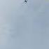 DJI MAVIK MINI TRAINING Time Shortstoryexamples Viral Short Story