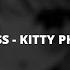 Soviss Kitty Phonk