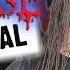 CANNIBAL CORPSE Death Metal Brutal Death Metal From Buffalo Обзор от DPrize