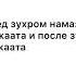 Какие есть суннат намазы до и после фарда