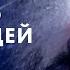 Бандит сорвал свадьбу любимой Чтобы увидеть радугу надо пережить дождь Лучшая мелодрама 2024