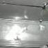 Petrified Official Video Fort Minor