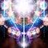 Majed Salih Gyhfruschs Original Mix
