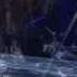 X JAPAN 紅 Tokyo Dome 2009 05 03 1080P HD