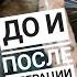 Кота сбила машина самочувствие после операции Спасибо всем кто помогает спасти ему жизнь