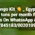 Mango Kit Egyptianwe Can Supply 200 Tons Per Month Cellphone 00201227845183 00201095867690
