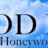 GOOD BYE Full Throttle4 Honeyworks Cover By Jemi