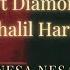 Rayvanny Ft Diamond Platnumz Khalil Harrison NESA NESA Lyrics Video