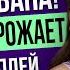 Геймплей Ведьмак 4 приговор студии Леста RTX 50 подорожает новости от Даши