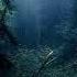 Dark Forest Blisargon Demogorgon Blisargon Demogorgon Dj Set Dragonfly Radio 03 December 2014