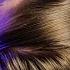 ASMR Real Hair Brushing For Intense Tingles And Stress Relief No Talking