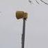 Tornado Siren Sparta Remix Development Fypシ