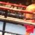 Foxwoods Boxing Hurshidbek Normatov Vs Alexis Gaytan 7 21 18