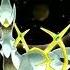 Hoppa Vs Raquaza Pokemon Short