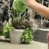 Neon Hitch Gucci Gucci Kreayshawn Cover