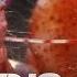 Amazing Pistol Shrimp Stun Gun World S Deadliest