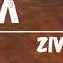Zivert ЯТЛ Lyric Video