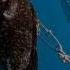 Abade 2 4kg Spearfishing Reels Shortvideo Youtubeshorts Youtube Vlog Movie Shorts Short