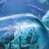 Alice Madness Returns OST ᴴᴰ Tundraful